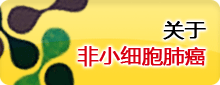 关于非小细胞肺癌